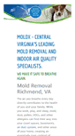 Mobile Screenshot of moldxinc.com